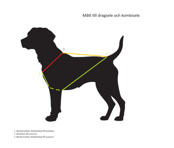 Barr mått till dragsele och kombisele
