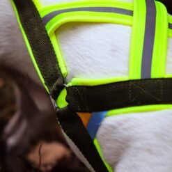 Barr kombisele stigert för hund 3