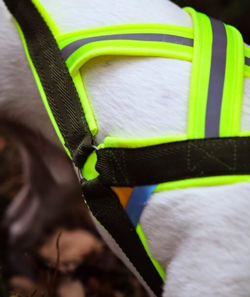 Barr kombisele stigert för hund 3