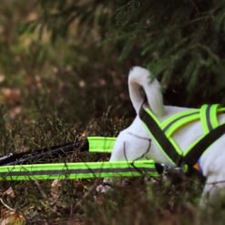 Barr kombisele stigert för hund 4