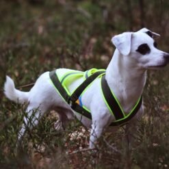 Barr kombisele stigert för hund 5
