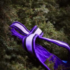 Barr universalsele Pluto för hundsport 3