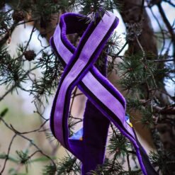 Barr universalsele Pluto för hundsport 4