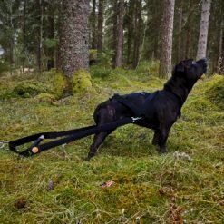Dragpåhäng till kombisele - Ylva