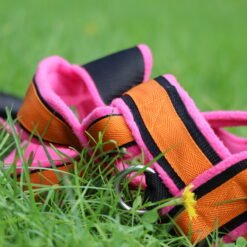 rosa orange barr wp sele phles detaljbild i gräset