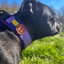 Barr hundhalsband Yvonne i fleece 1