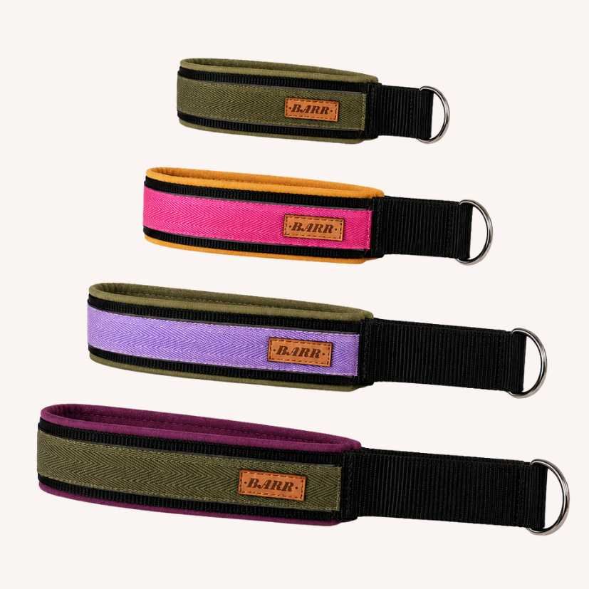 Hundhalsband i softshell
