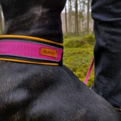 Hundhalsband i softshell - Sussie
