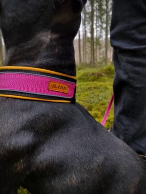 Hundhalsband i softshell - Sussie