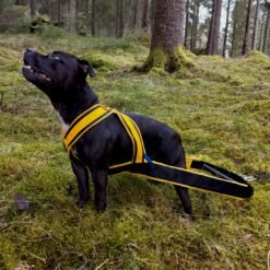 Universalsele - Måttbeställd