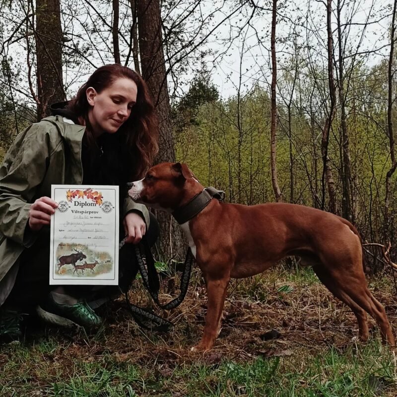 Hund och förare i skogen med diplom efter viltspårprov