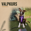 Valpkurs - start 11 aug