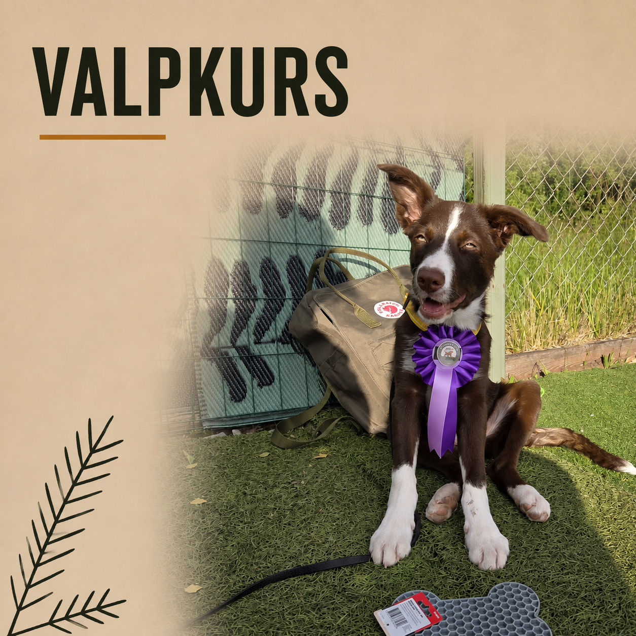 Valpkurs - start 11 aug